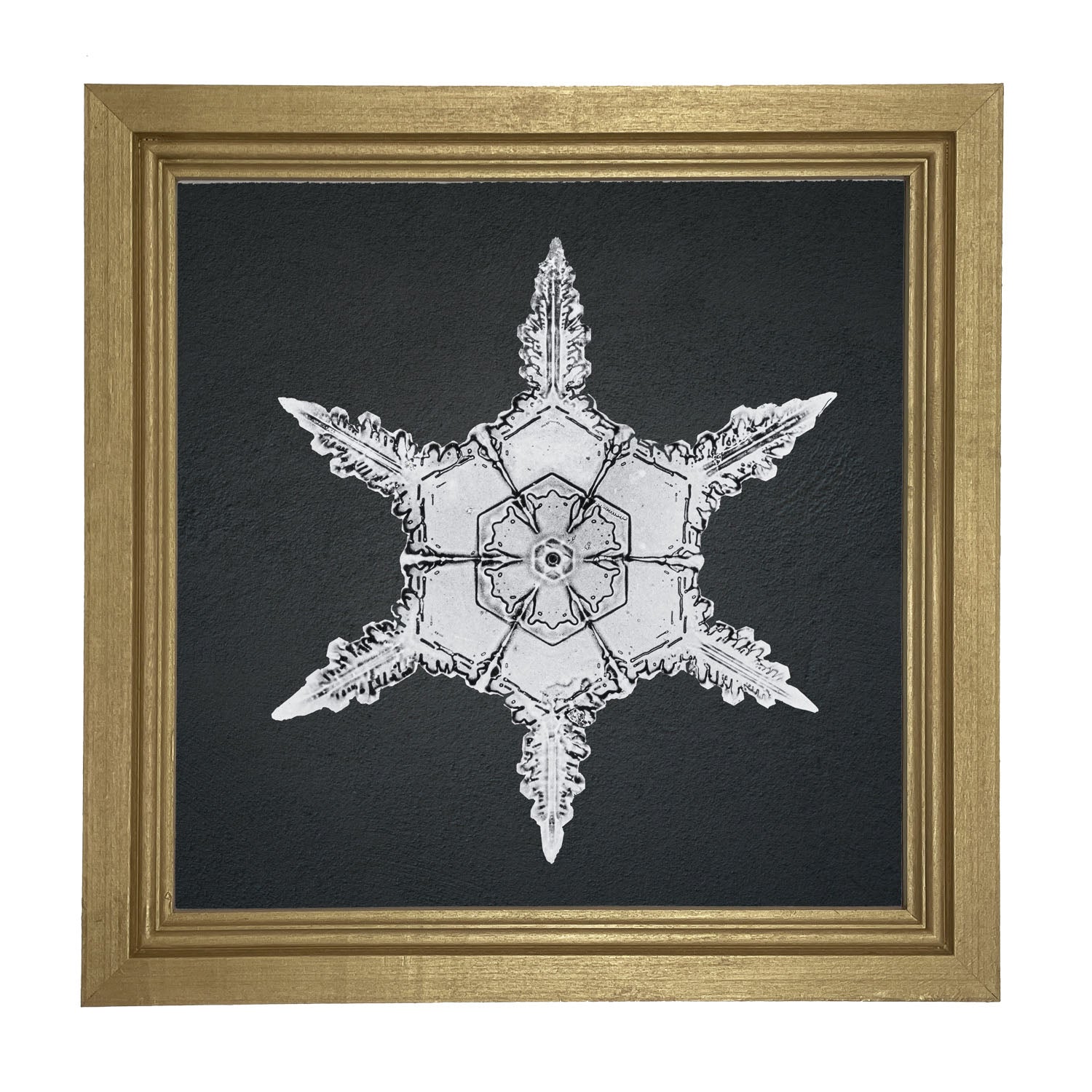 Snowflake-F - Framed art