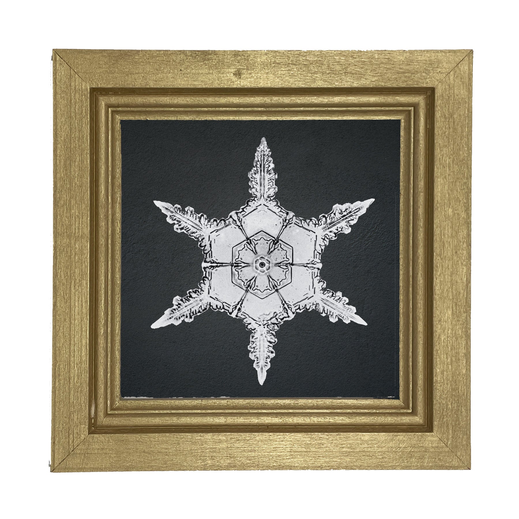 Snowflake-F - Framed art