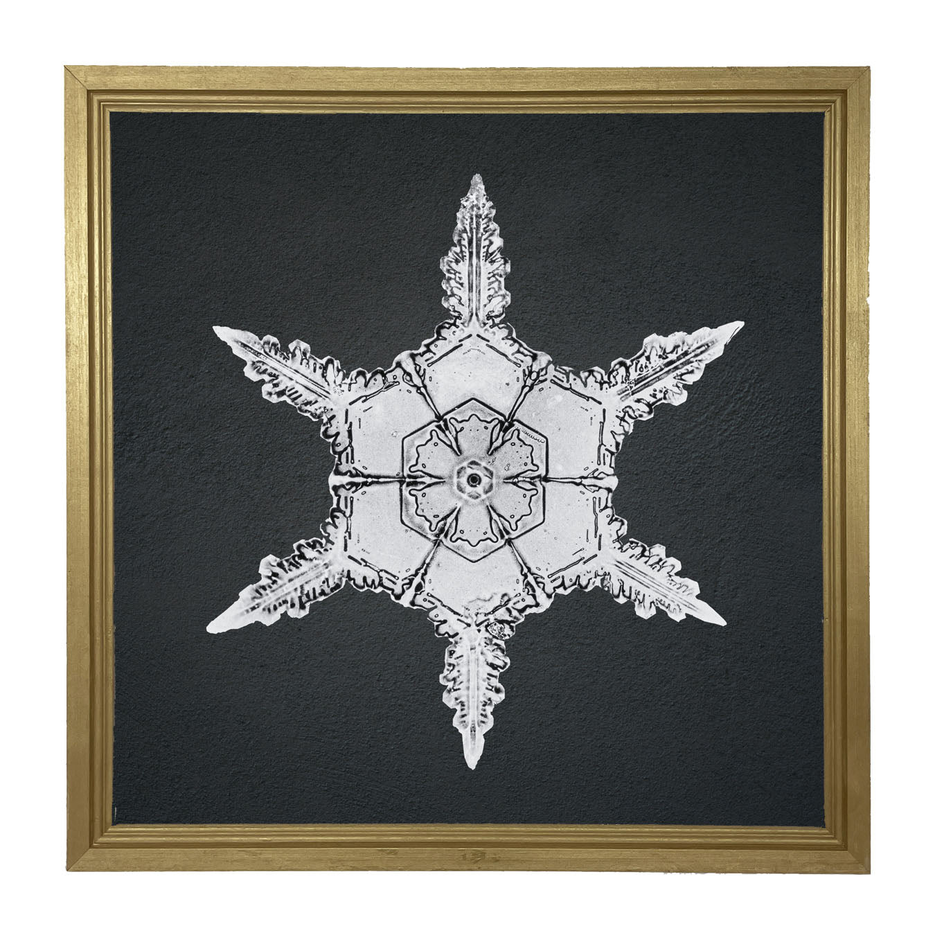 Snowflake-F - Framed art