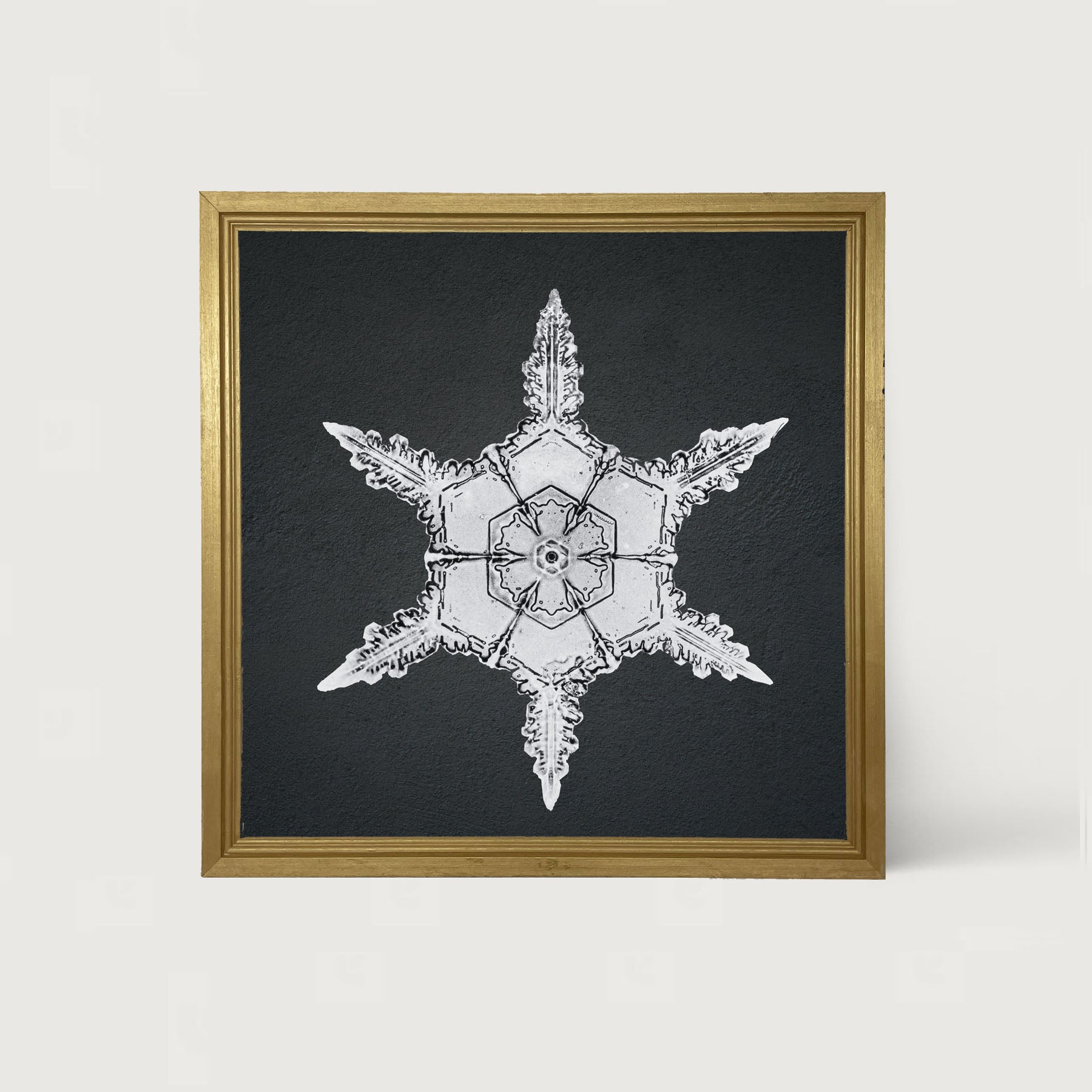 Snowflake-F - Framed art