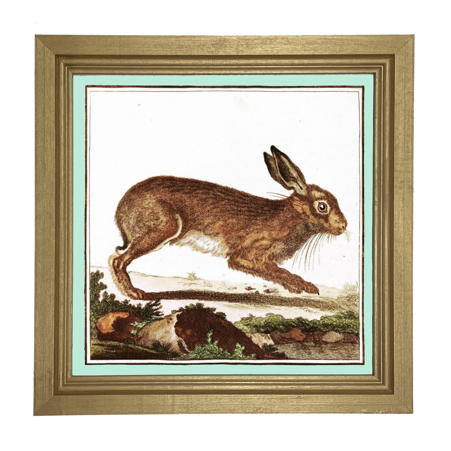 Vintage Brown Bunny - Framed art