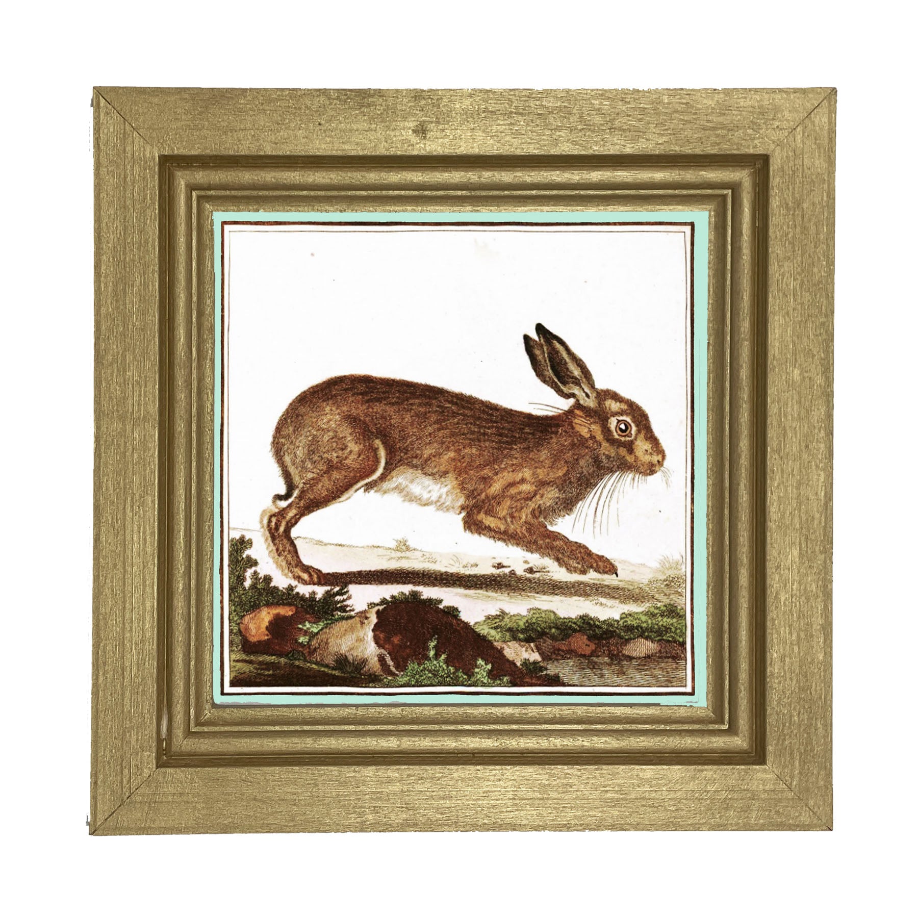 Vintage Brown Bunny - Framed art