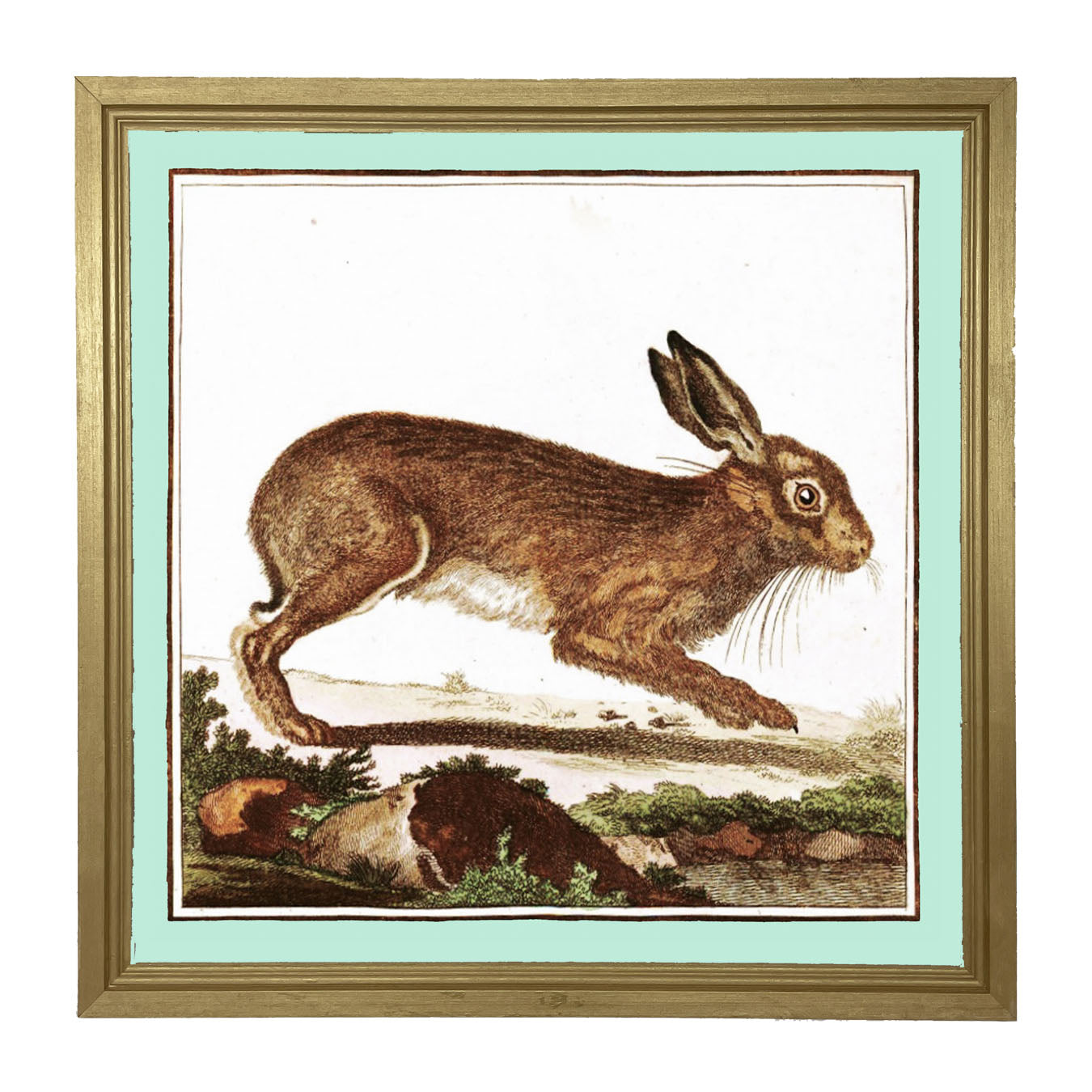 Vintage Brown Bunny - Framed art