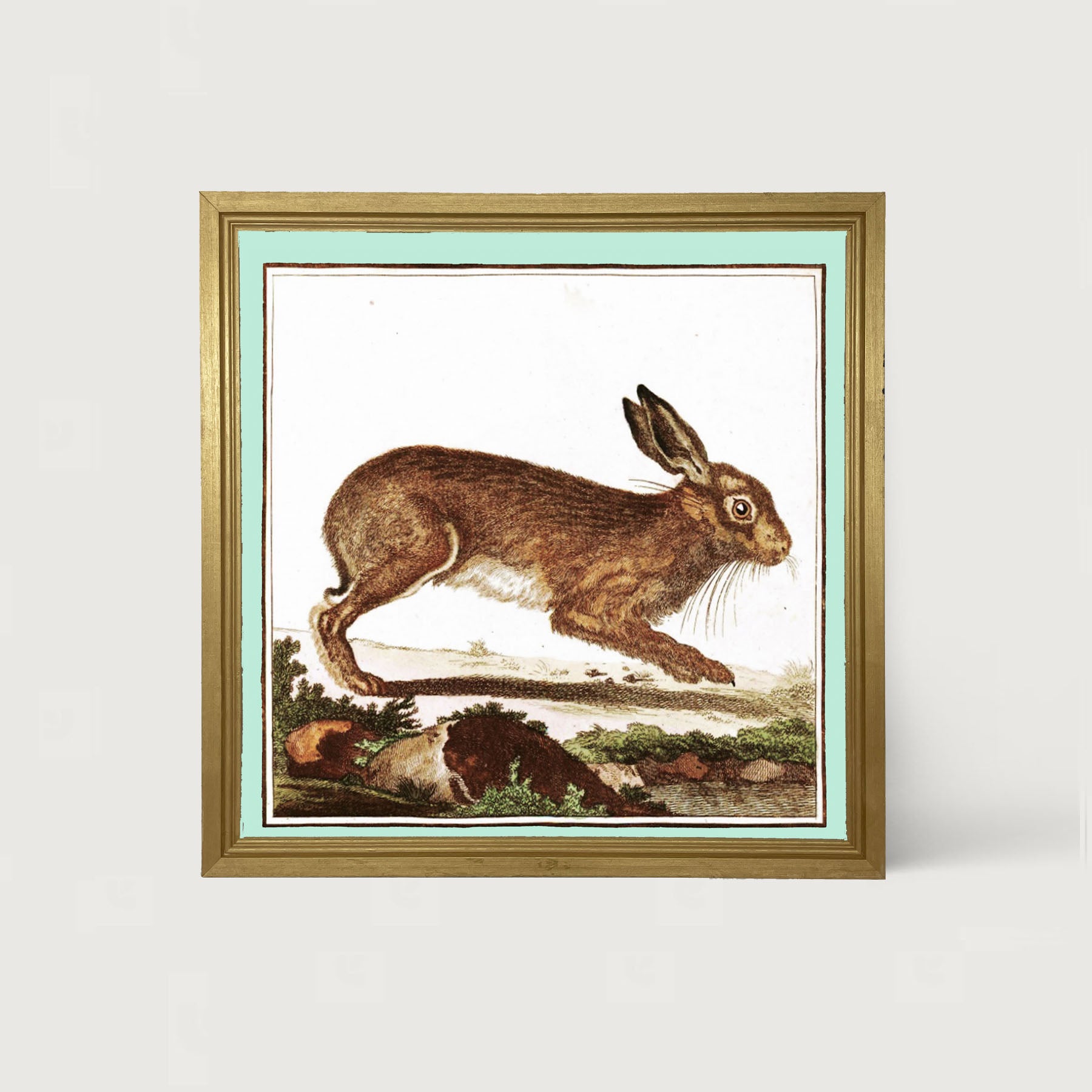 Vintage Brown Bunny - Framed art