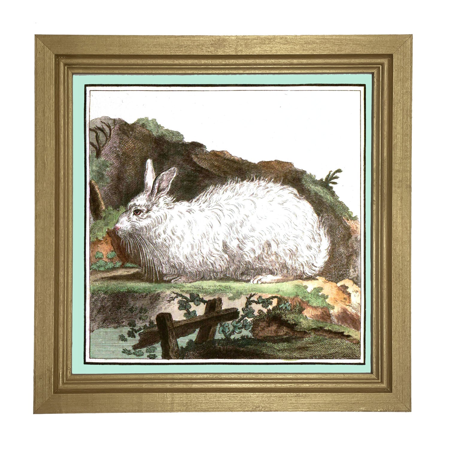 Vintage White Bunny - Framed art