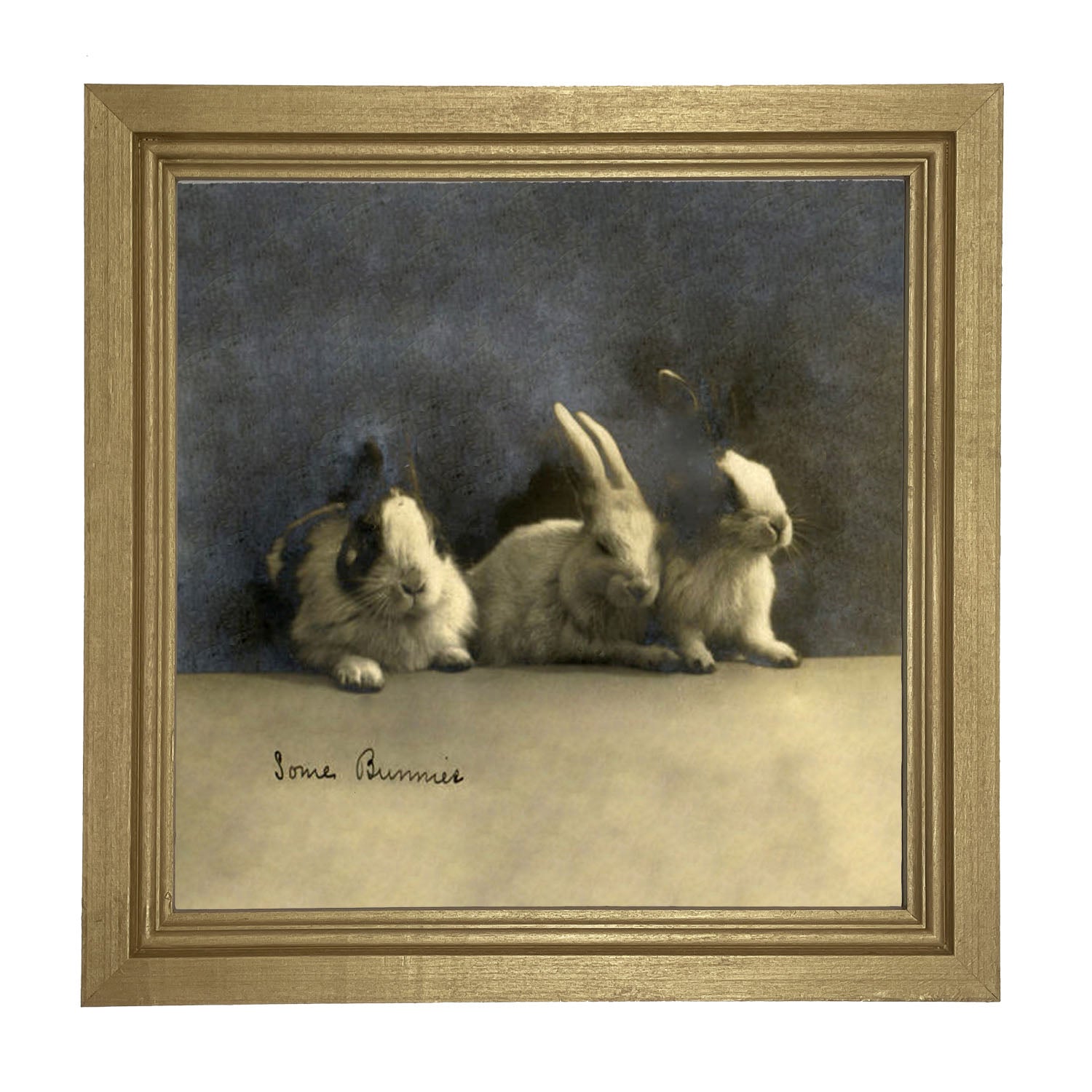 Some Bunnies - Framed art