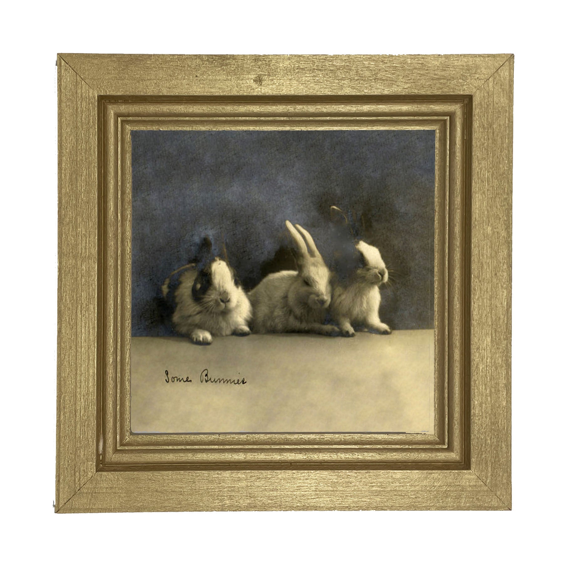 Some Bunnies - Framed art