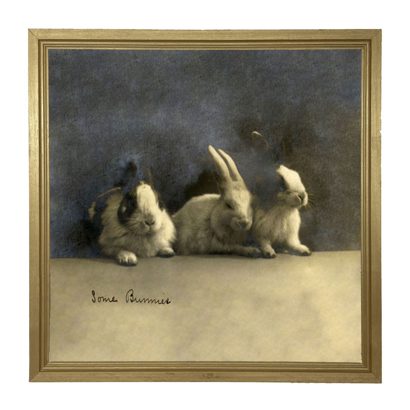 Some Bunnies - Framed art