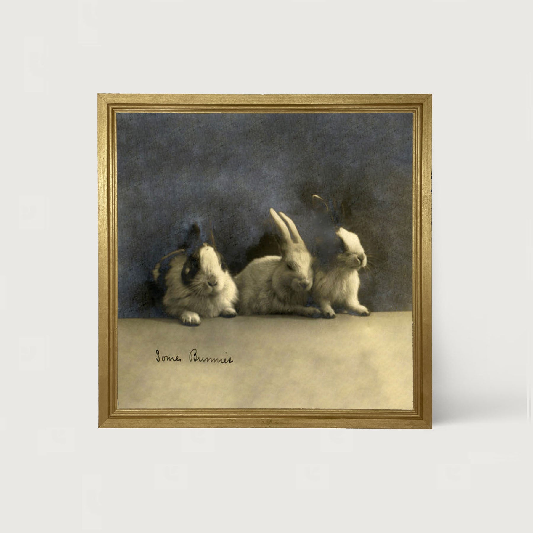 Some Bunnies - Framed art