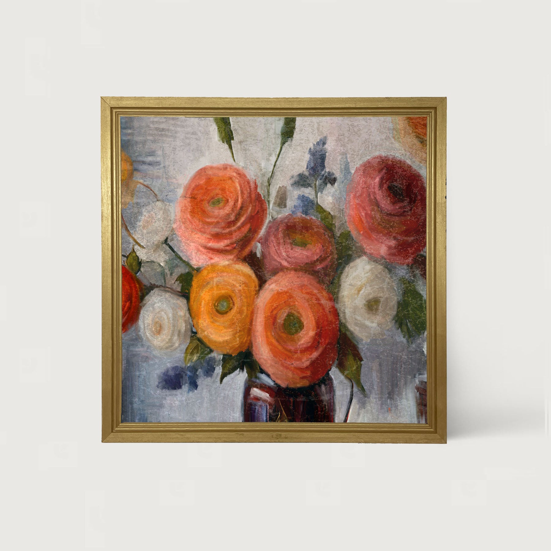 Colorful Ranunculus - Framed Art