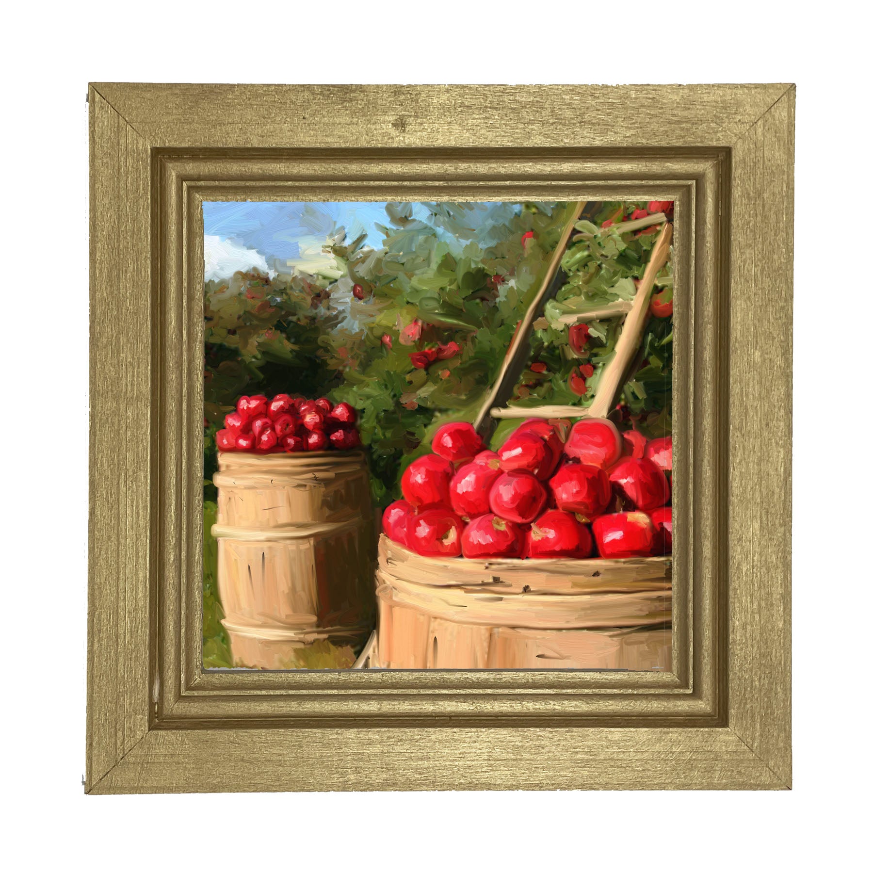 Apples - Framed Art