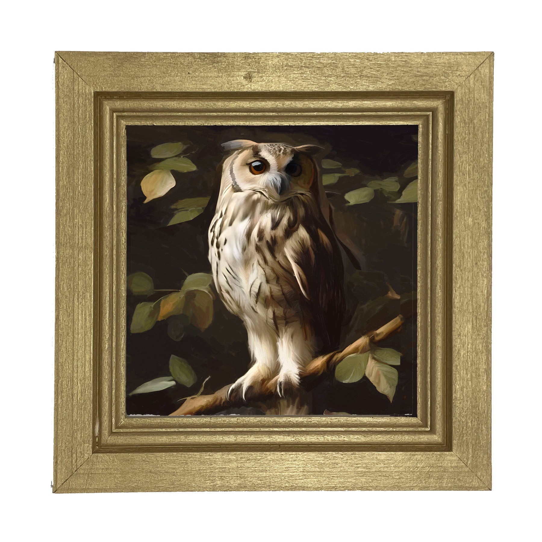 Gray and White Owl - Framed Art