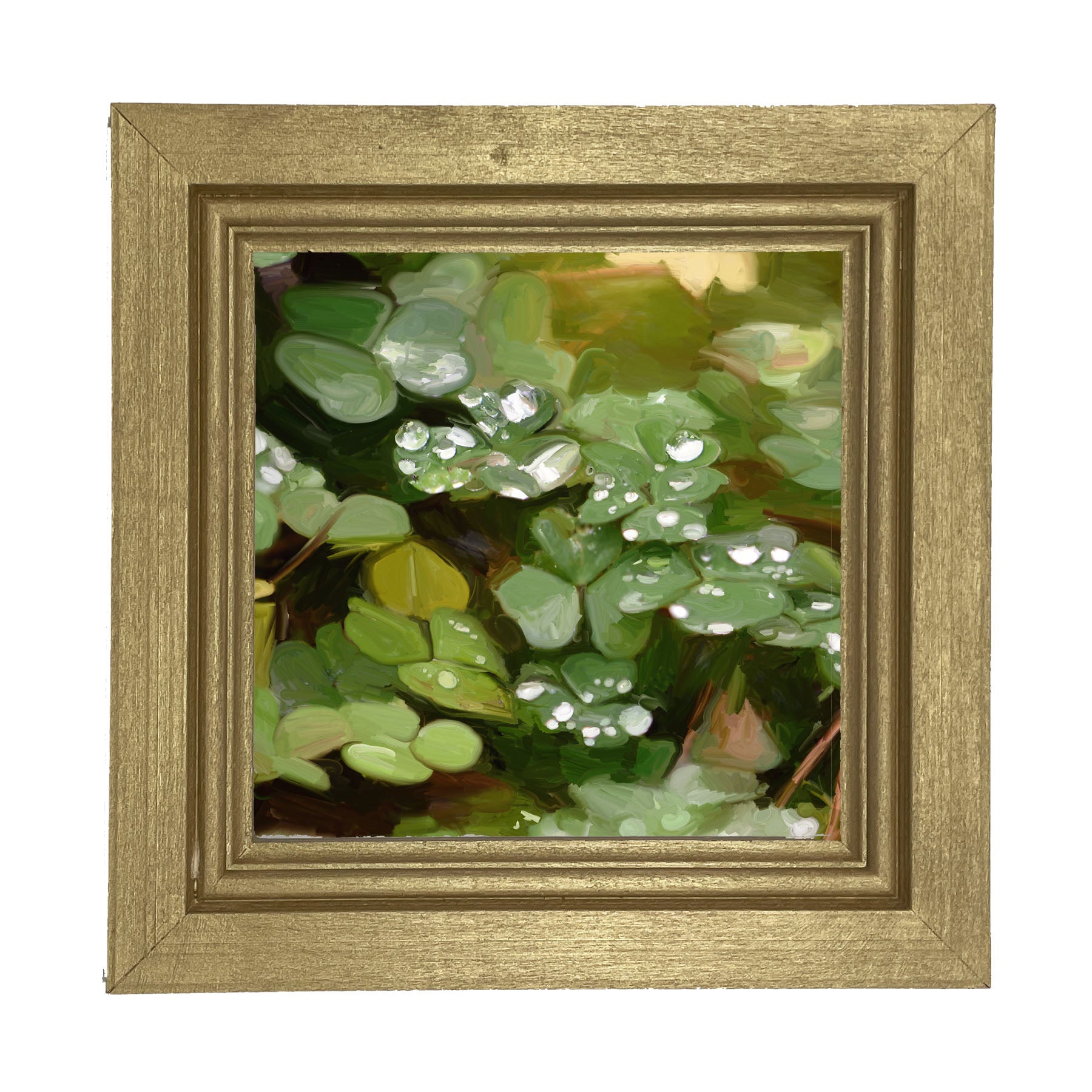 Clovers in The Spring Rain - Framed art