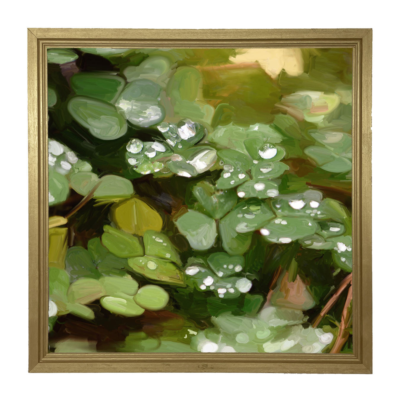 Clovers in The Spring Rain - Framed art