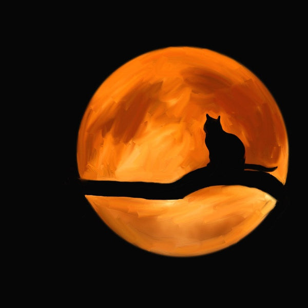 Cat in the Moon