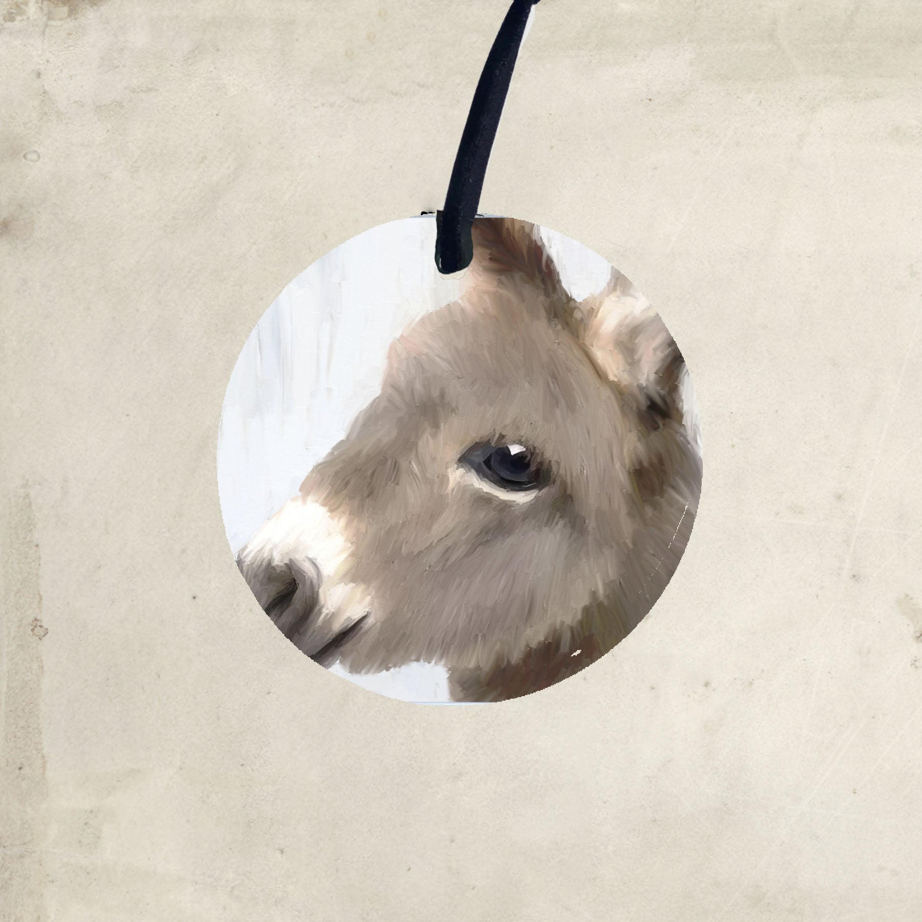 Baby Donkey - Ornament
