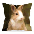 Pillow