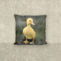 Pillow