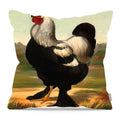 Pillow