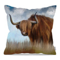 Pillow