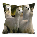 Pillow