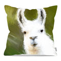 Pillow
