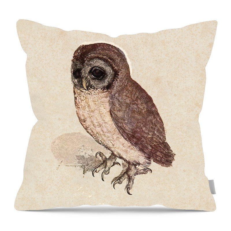 Vintage owl - Pillow — 16-inch linen-look pillow