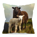 Pillow