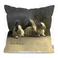 Pillow