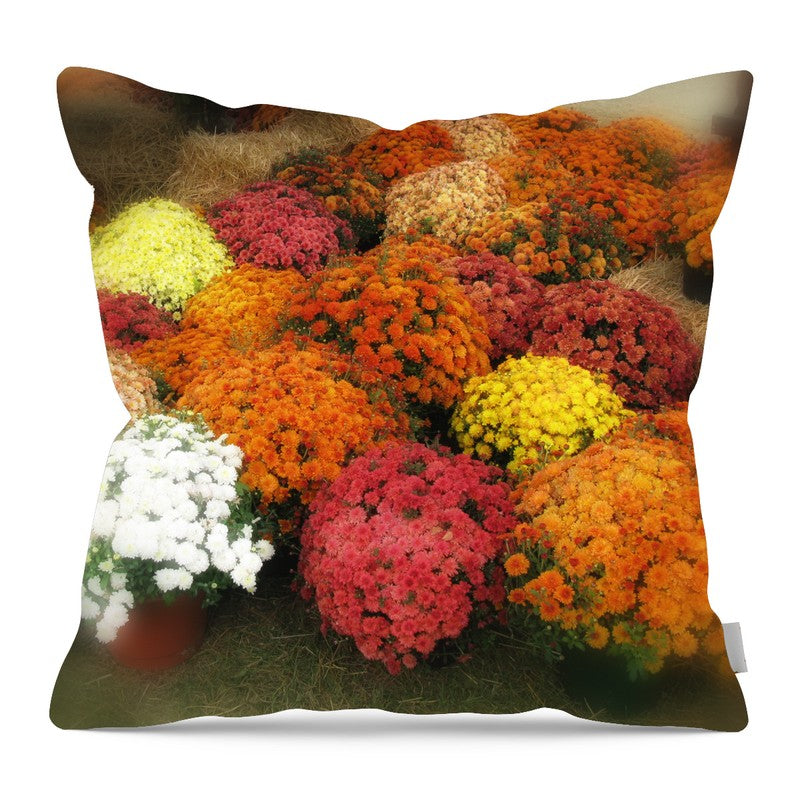 Fall Mums - Pillow — 16-inch linen-look pillow