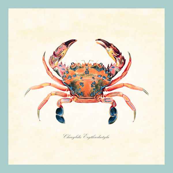 mogno6 crabat アート mogno6 crabat アート Crab with face, graffito, street art