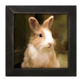 Framed Art