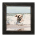Framed Art