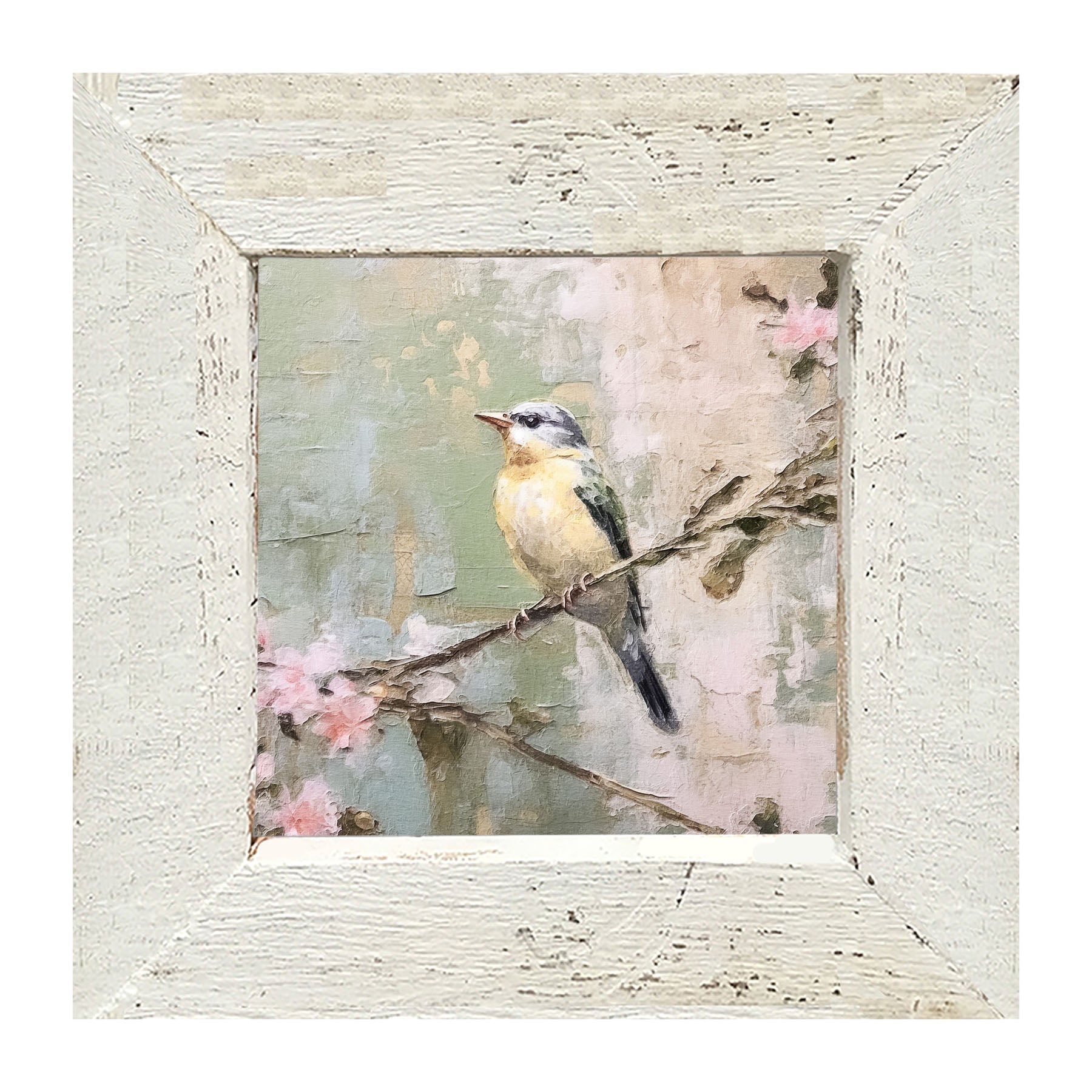 Bird sitting on cherry blossom branch - Framed art