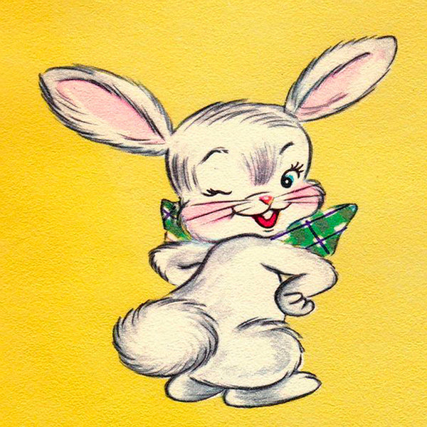 Cotton Tail