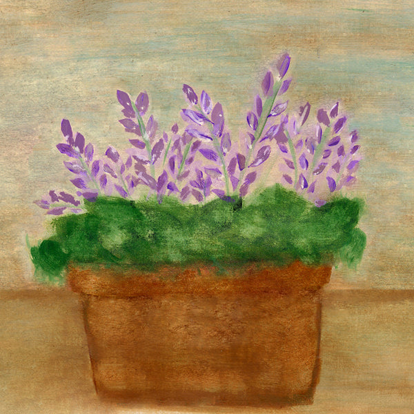Lavender