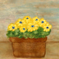 Art Magnet