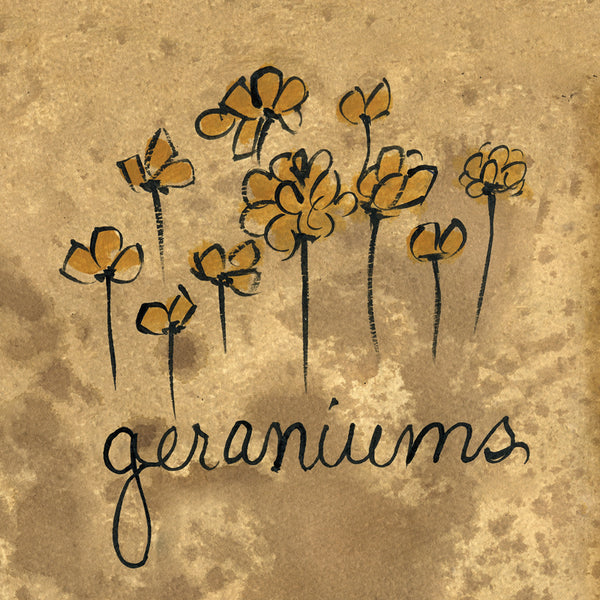 Geraniums