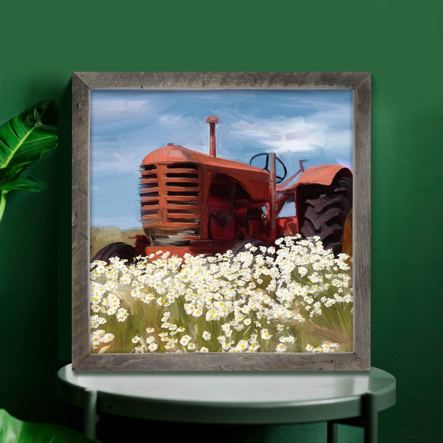 Old Tractor in a Daisy Field