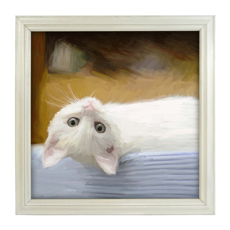 White Barnyard Kitten