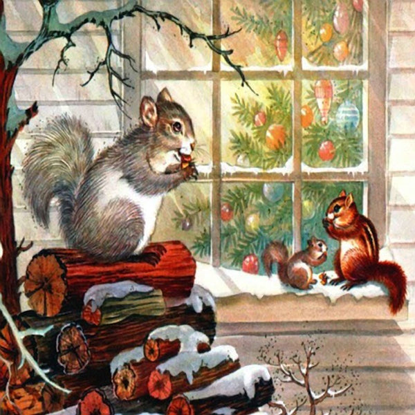 Squirrel at window